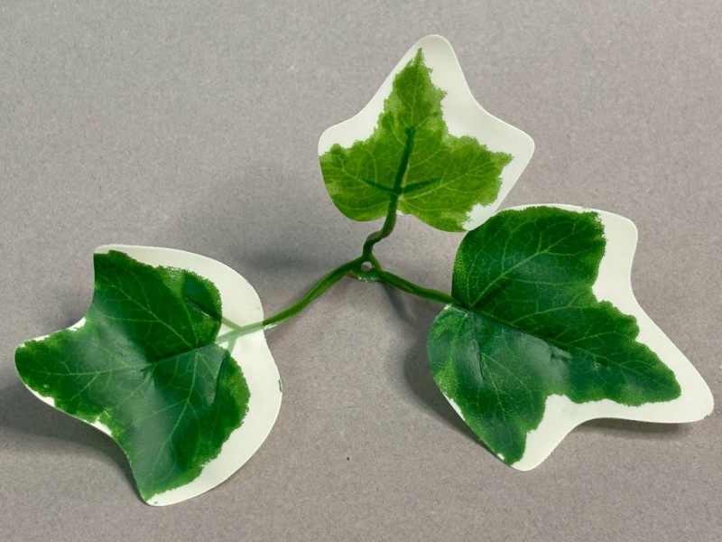 64.984 Лист плюща 3ка со светлым кантом