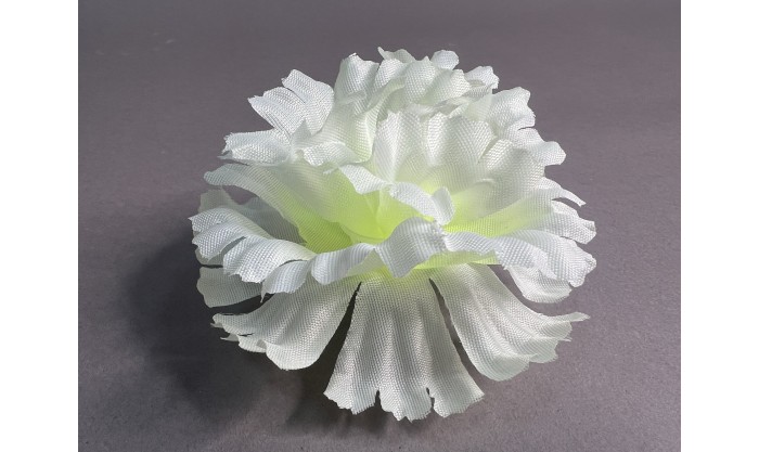 Гвоздика большая 113/3/22