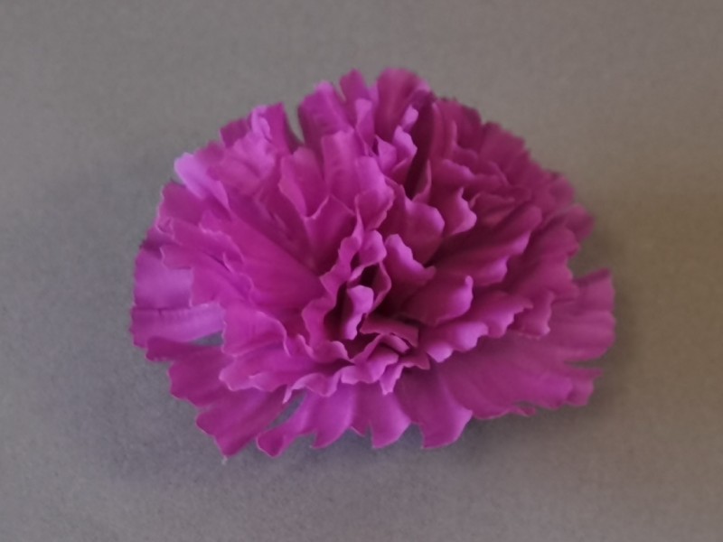 Гвоздика средняя 13