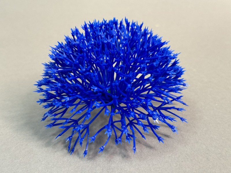 Одуванчик большой 160