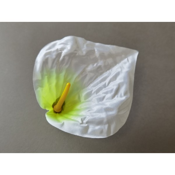 Антуриум большой атласный 20 (С КОМПЛЕКТОМ ТЫЧИНОК)