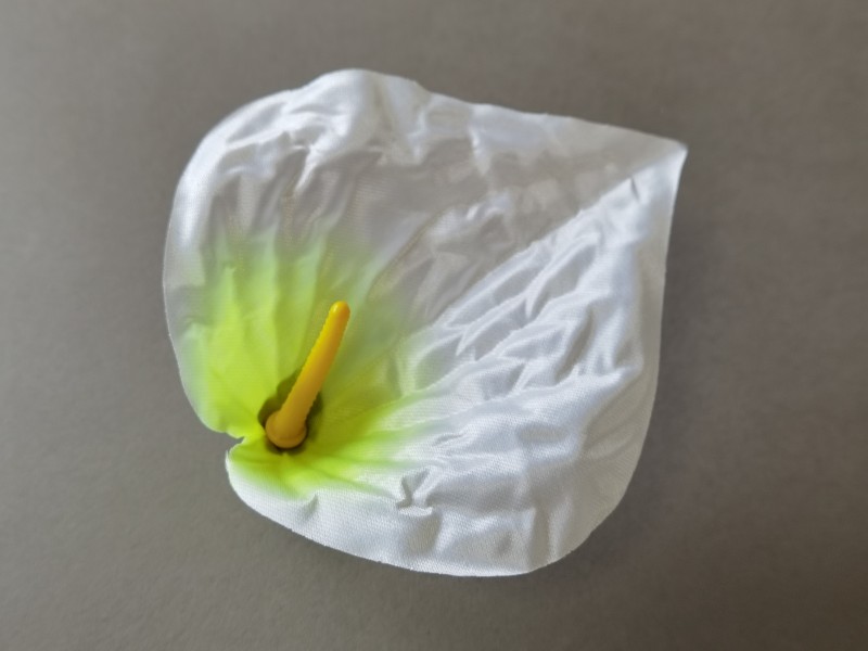 Антуриум большой атласный 20 (С КОМПЛЕКТОМ ТЫЧИНОК)