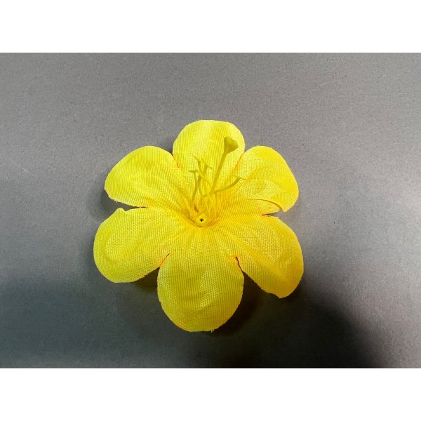 Петуния 29 (С КОМПЛЕКТОМ ТЫЧИНОК)