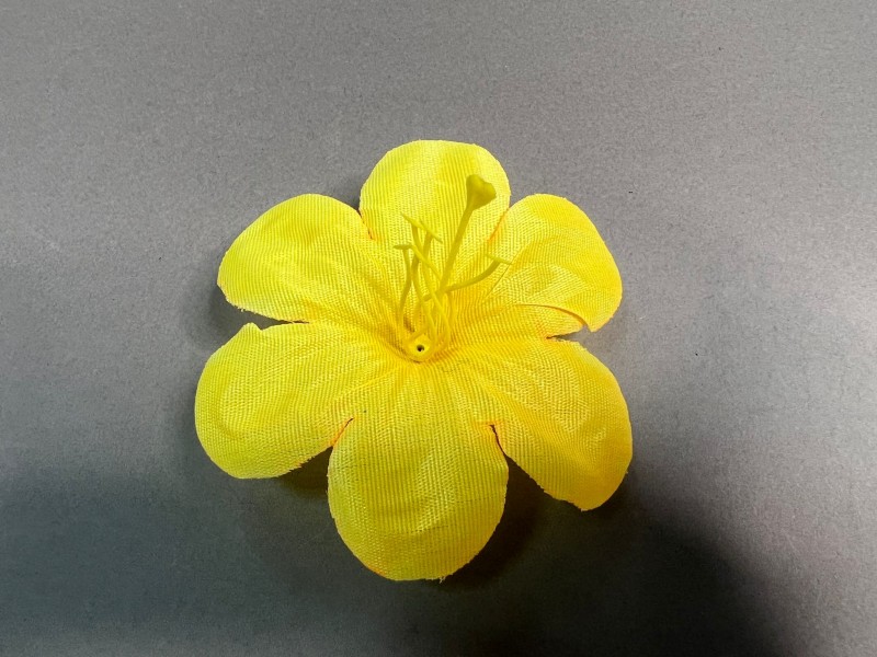 Петуния 29 (С КОМПЛЕКТОМ ТЫЧИНОК) Петуния 29 (С КОМПЛЕКТОМ ТЫЧИНОК)