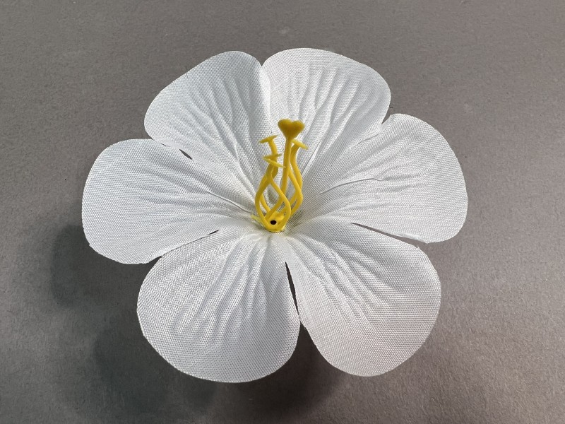 Мальва малая 2 СП (С КОМПЛЕКТОМ ТЫЧИНОК)