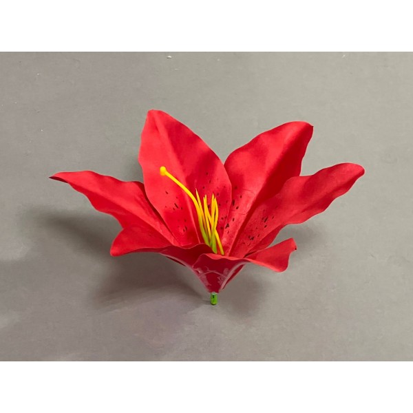 Лилия "Кармен" 304 (С КОМПЛЕКТОМ ТЫЧИНОК)