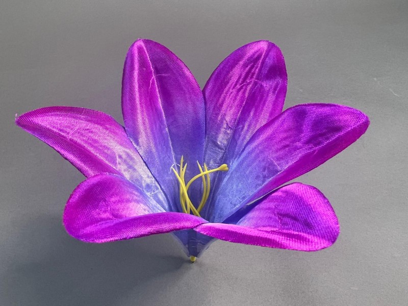 Лилия трубчатая большая 306/2 (С КОМПЛЕКТОМ ТЫЧИНОК)