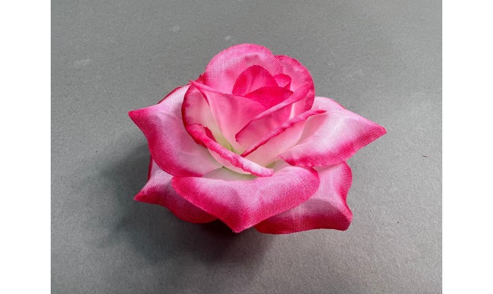 Роза малая "Бьянка" 42/57