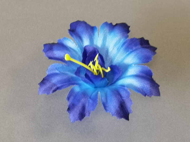 Цветок гладиолуса 59