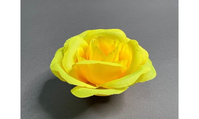 Роза майская 60/5