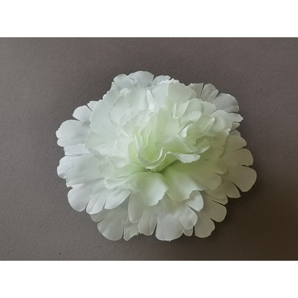 Гвоздика декоративная 82