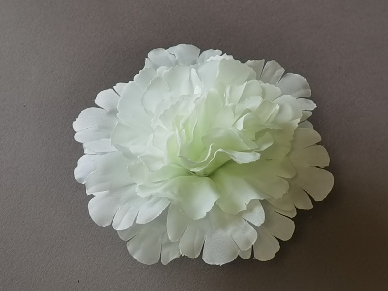 Гвоздика декоративная 82