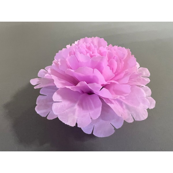 Гвоздика декоративная СП 82