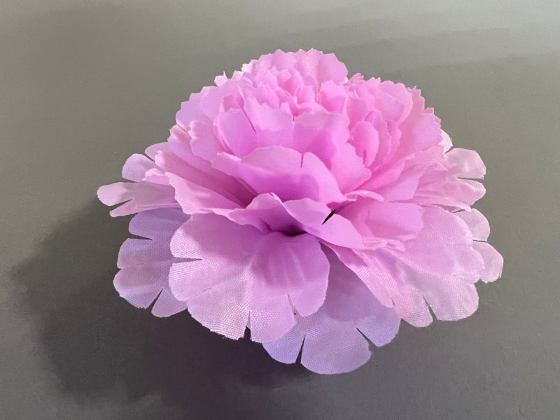 Гвоздика декоративная СП 82