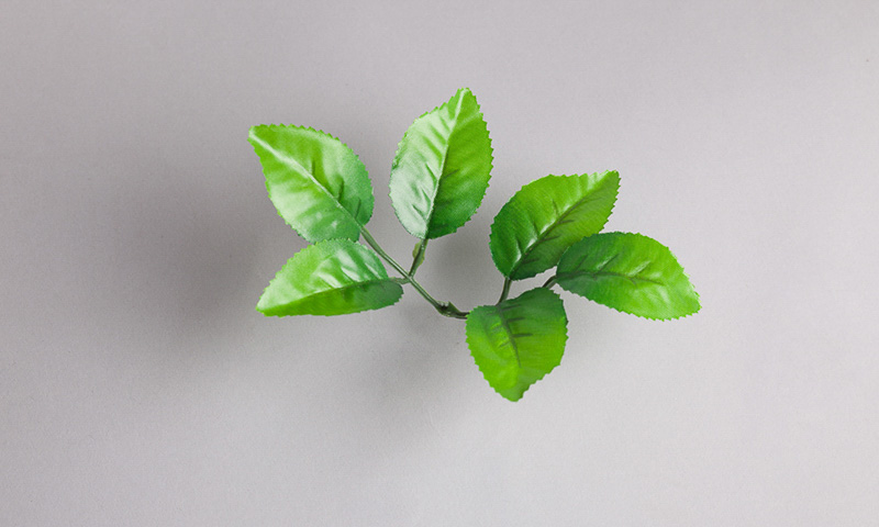 Край листа розы. Карро лист розы мини (20000) зелёный комбинированный. Лист розы мини пластик. Лист розы искусственный. Искусственная зелень лист розы.